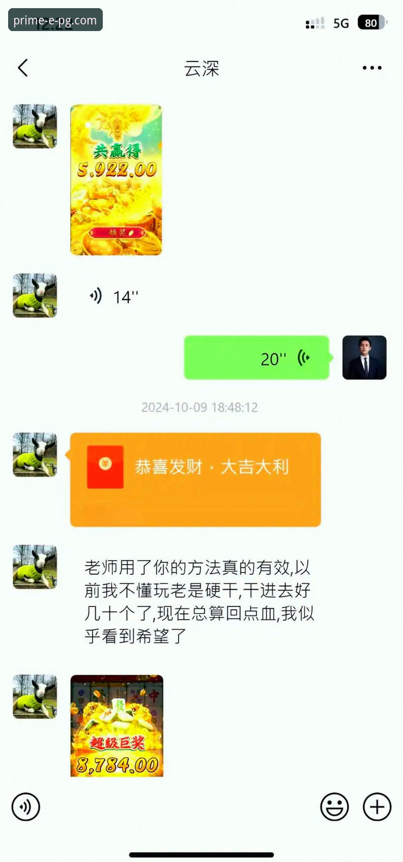 PG电子官网赢钱技巧深度对比与实战应用教程